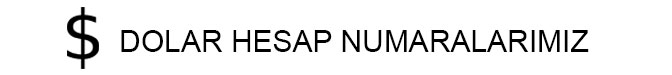 USD Hesapları