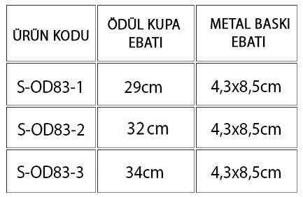 global-ölçü.jpg (24 KB)