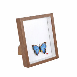 Ahşap Derin Kahverengi Hatıra Kutusu - 17x22cm - NobbyStar