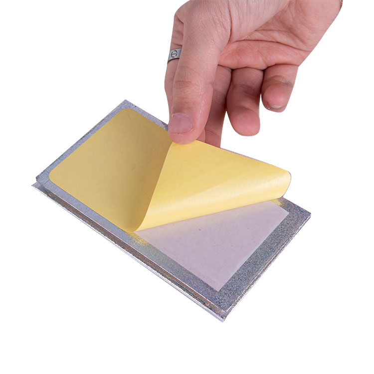 Gold ve Gümüş Aynalı Cep Albüm - 8x12cm - 13