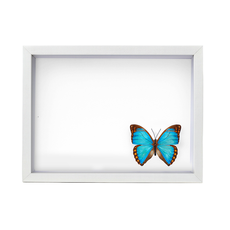 Ahşap Beyaz Derin Çerçeve - 22x27cm - 5