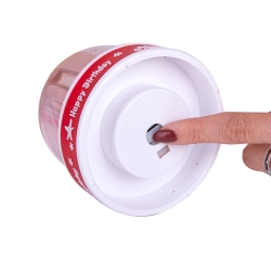 Müzikli Doğum Günü Fotoğraflı Kar Küresi - 6