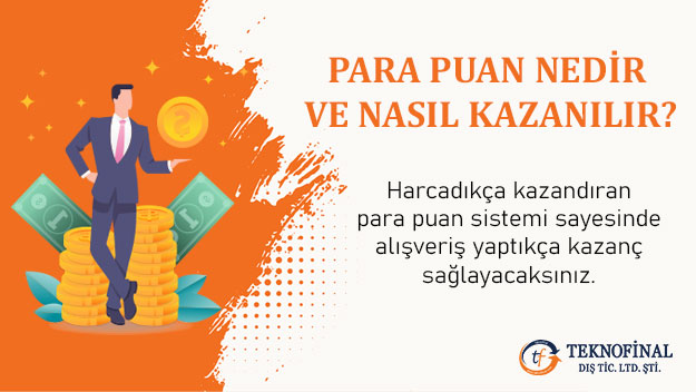 Para Puan Nedir/Nasıl Kazanılır?