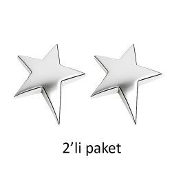 Altın ve Gümüş Parlak Plaket Yıldızı - 2'li Paket - 4