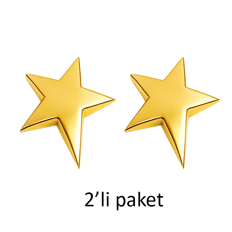 Altın ve Gümüş Parlak Plaket Yıldızı - 2'li Paket - 5