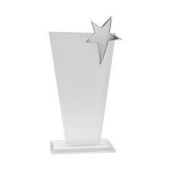 Altın ve Gümüş Parlak Plaket Yıldızı - 2'li Paket - 2