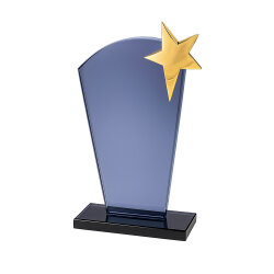 Altın ve Gümüş Parlak Plaket Yıldızı - 2'li Paket - 3