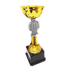 Süblimasyon Ödül Kupası Gold - Altın - 32,5Cm - Thumbnail