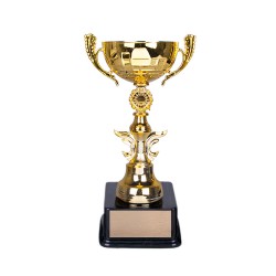 Süblimasyon Aslan Ödül Kupası - Thumbnail