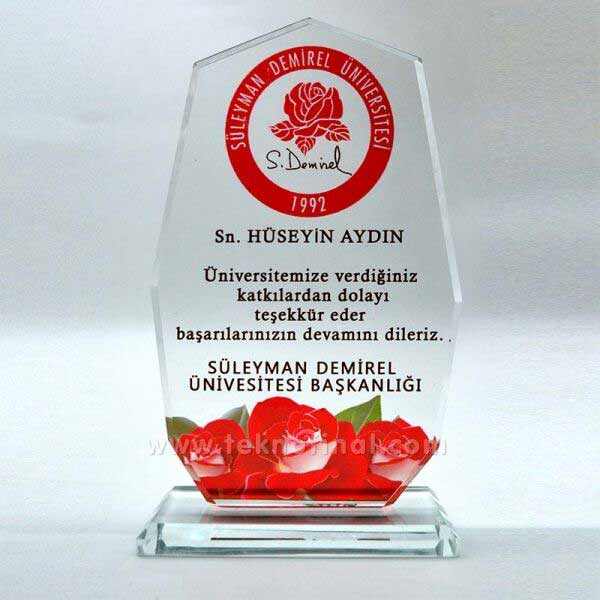 Süblimasyon Dokuzgen Kristal Cam Plaket - 2