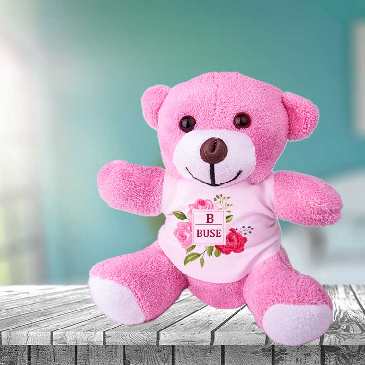 Sublimation Plush Pink Teddy Bear