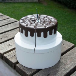 Wholesale Self Exploding Surprise Gift Box | Personal Birthday Cake - 12