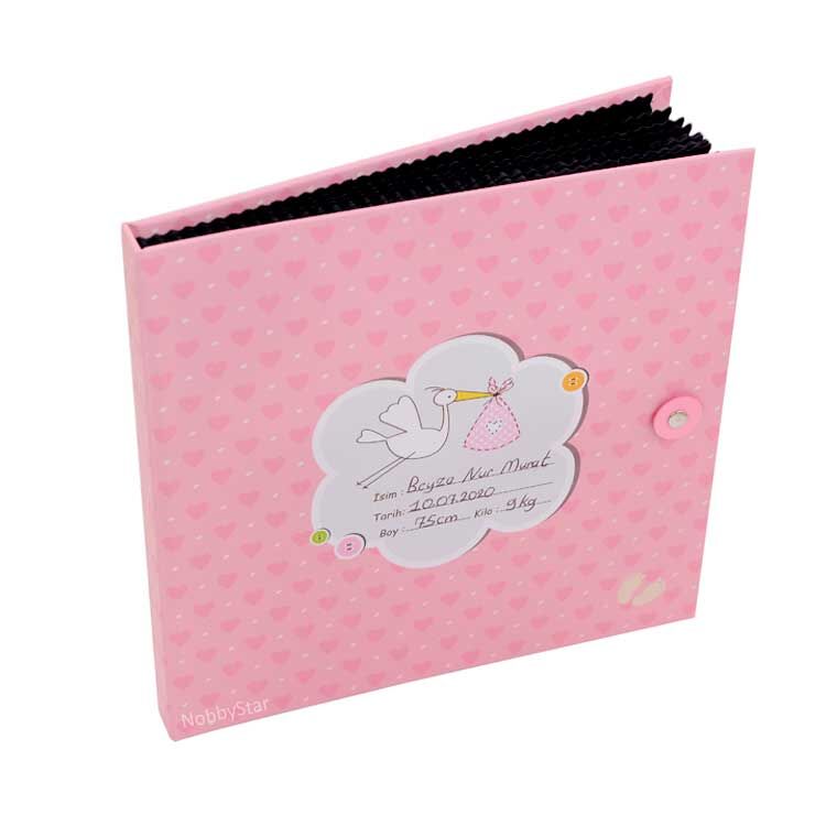 Stork Figured Baby Memory Book